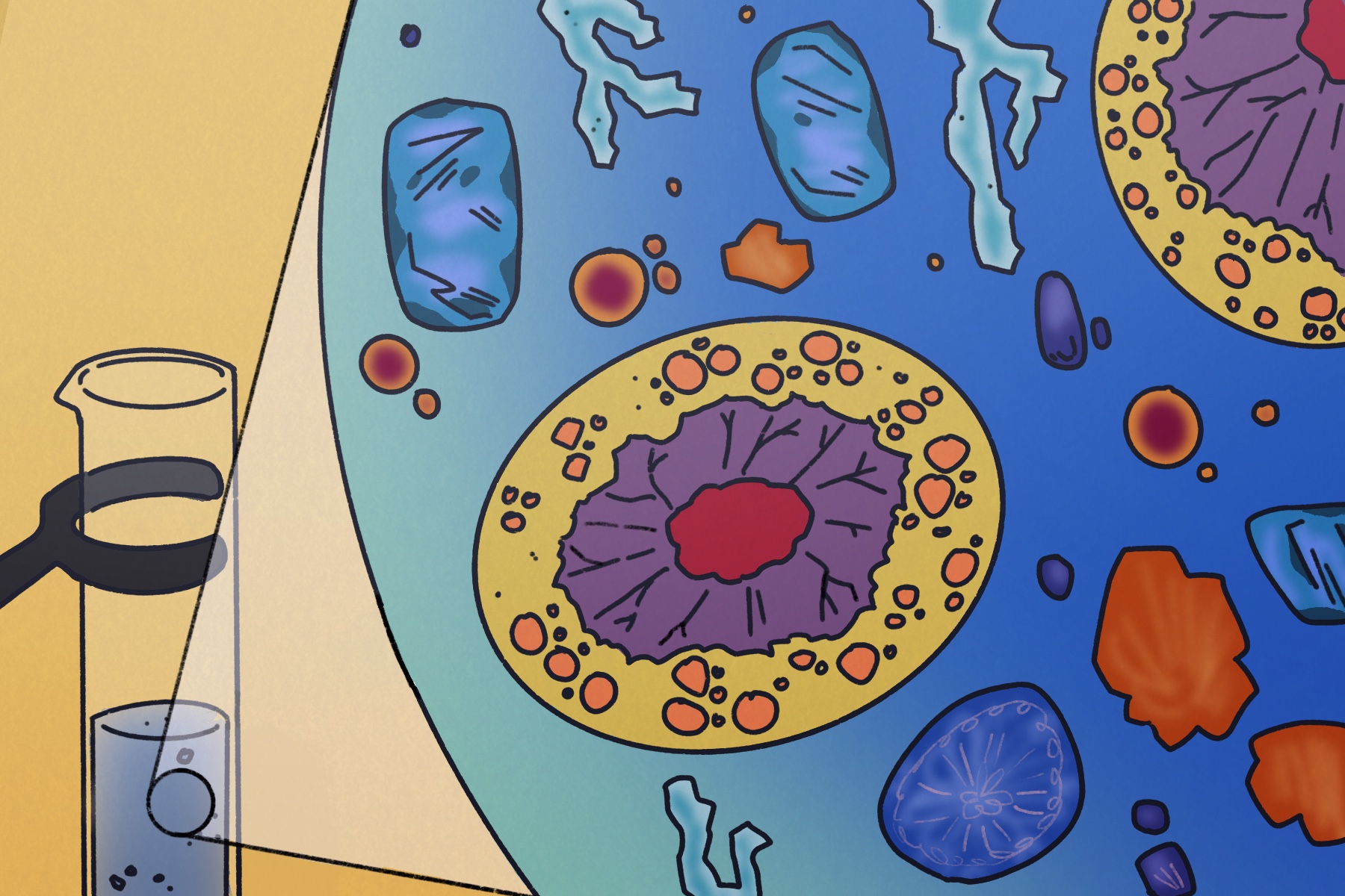 A water sample full of small life forms. The illustration is colorful and drawn in a cartoonish style.